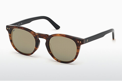 Zonnebril Web Eyewear WE0251 56C