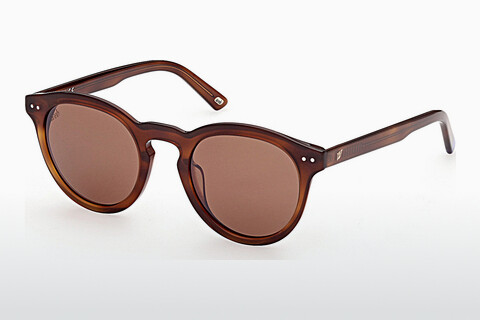 Zonnebril Web Eyewear WE0307 53G