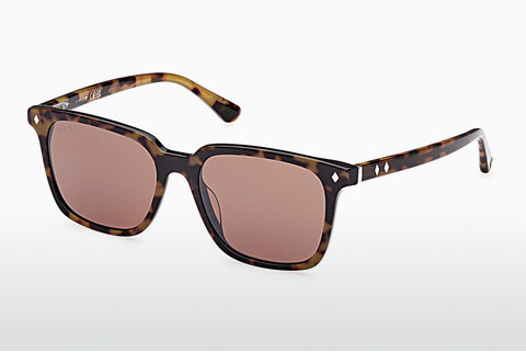 Zonnebril Web Eyewear WE0348 56E