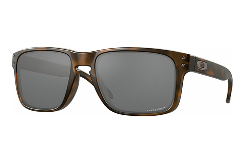 Zonnebril Oakley HOLBROOK (OO9102 9102F4)