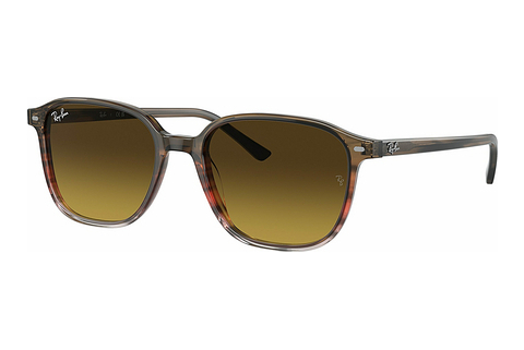 Zonnebril Ray-Ban LEONARD (RB2193 138085)