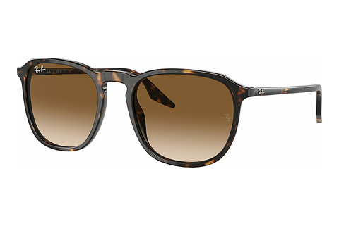 Zonnebril Ray-Ban RB2203 902/51