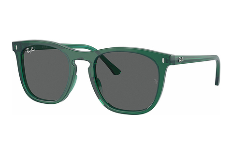 Zonnebril Ray-Ban RB2210 6615B1