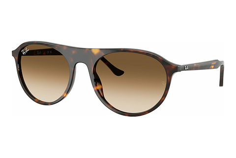 Zonnebril Ray-Ban RB2215 902/51