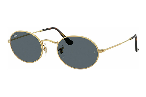 Zonnebril Ray-Ban OVAL (RB3547N 001/R5)