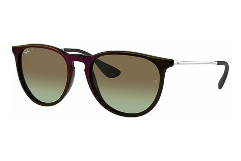 Zonnebril Ray-Ban ERIKA (RB4171 6316E8)