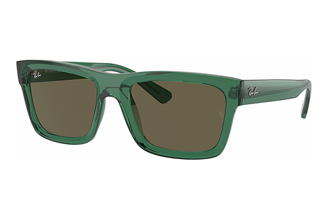 Zonnebril Ray-Ban WARREN (RB4396 6681/3)