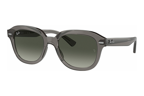 Zonnebril Ray-Ban ERIK (RB4398 667571)