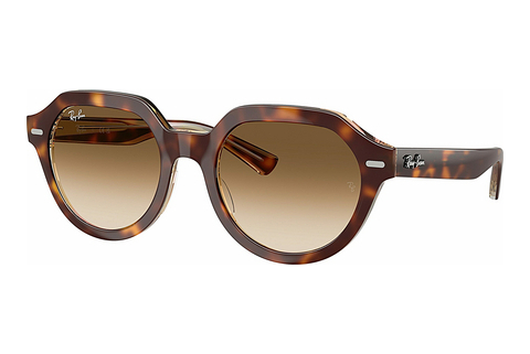 Zonnebril Ray-Ban GINA (RB4399 141451)