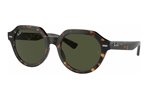 Zonnebril Ray-Ban GINA (RB4399 902/31)