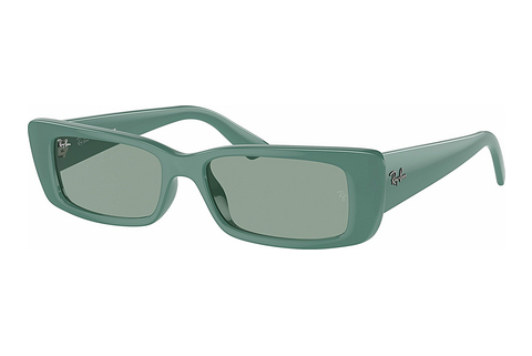 Zonnebril Ray-Ban TERU (RB4425 676282)