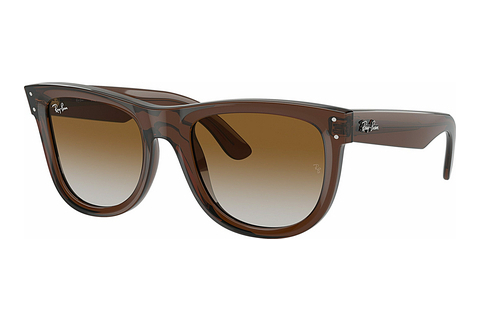 Zonnebril Ray-Ban WAYFARER REVERSE (RBR0502S 6709CB)