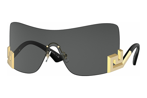 Zonnebril Versace VE2240 100287
