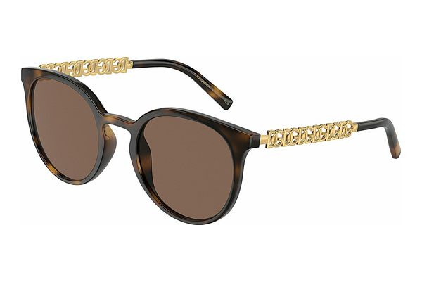 Zonnebril Dolce & Gabbana DG6189U 502/73