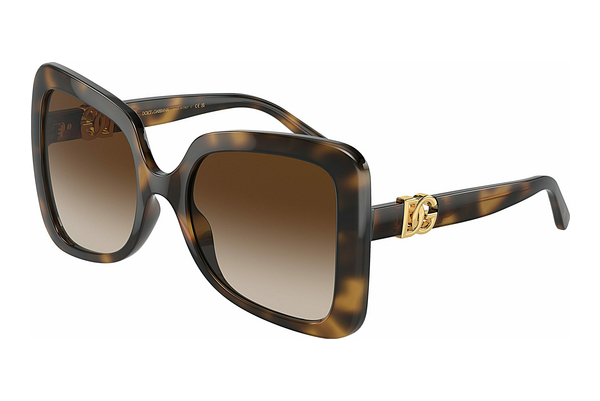 Zonnebril Dolce & Gabbana DG6193U 502/13