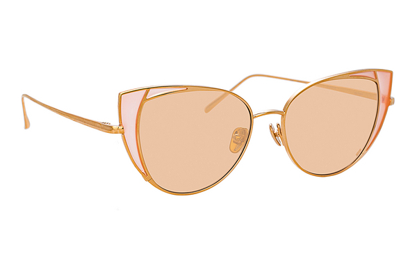 Lunettes de soleil Linda Farrow LFL855 C8